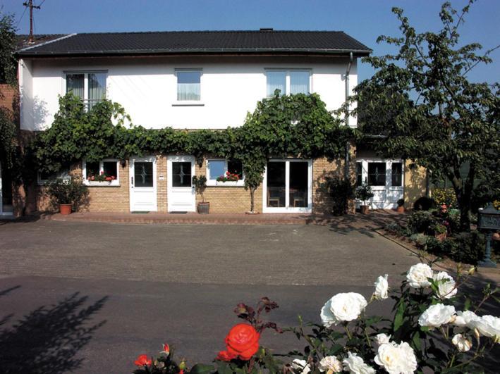 Ferienwohnung Weingut&Gastehaus Andreas Erz Brauneberg Exterior foto