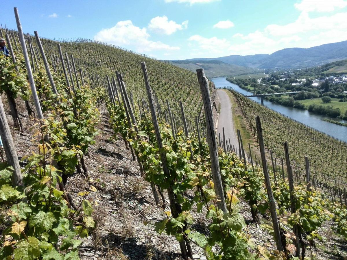 Ferienwohnung Weingut&Gastehaus Andreas Erz Brauneberg Exterior foto