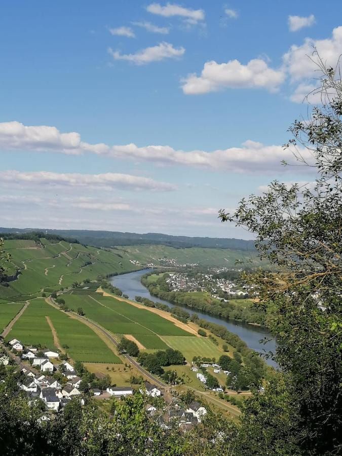 Ferienwohnung Weingut&Gastehaus Andreas Erz Brauneberg Exterior foto
