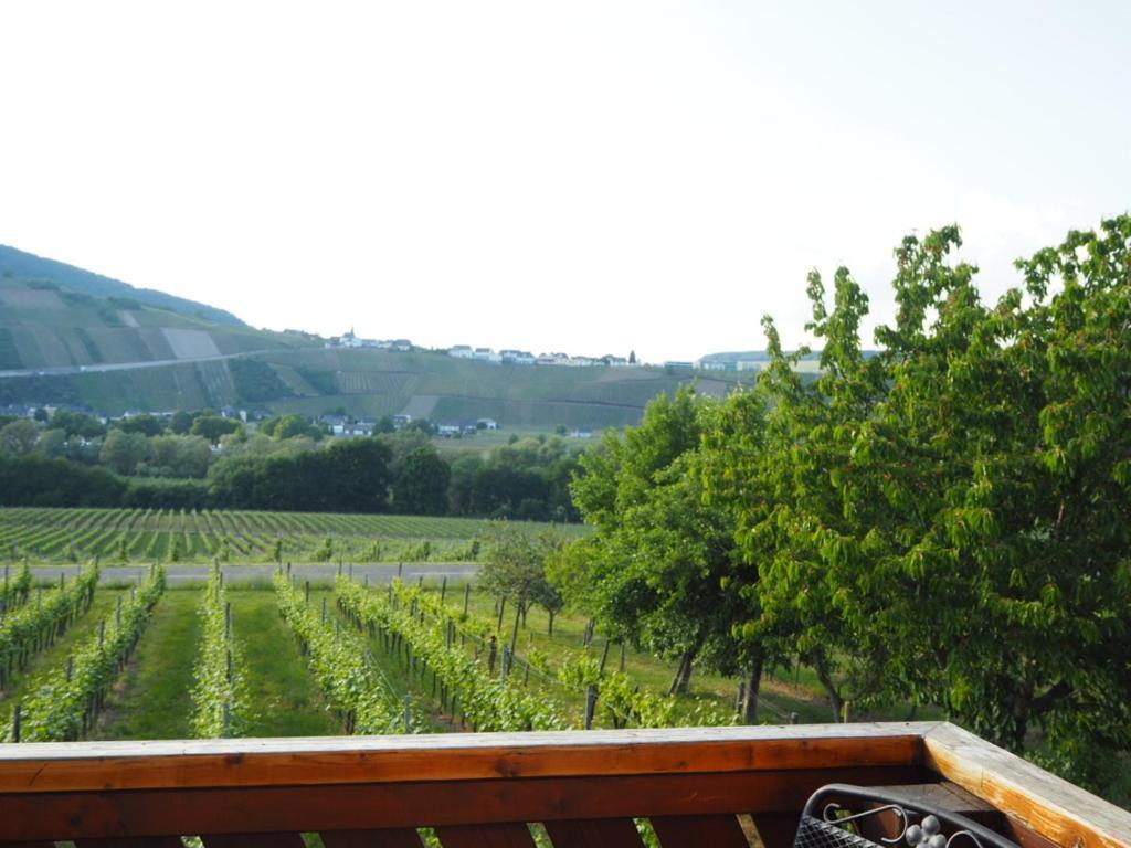 Ferienwohnung Weingut&Gastehaus Andreas Erz Brauneberg Zimmer foto