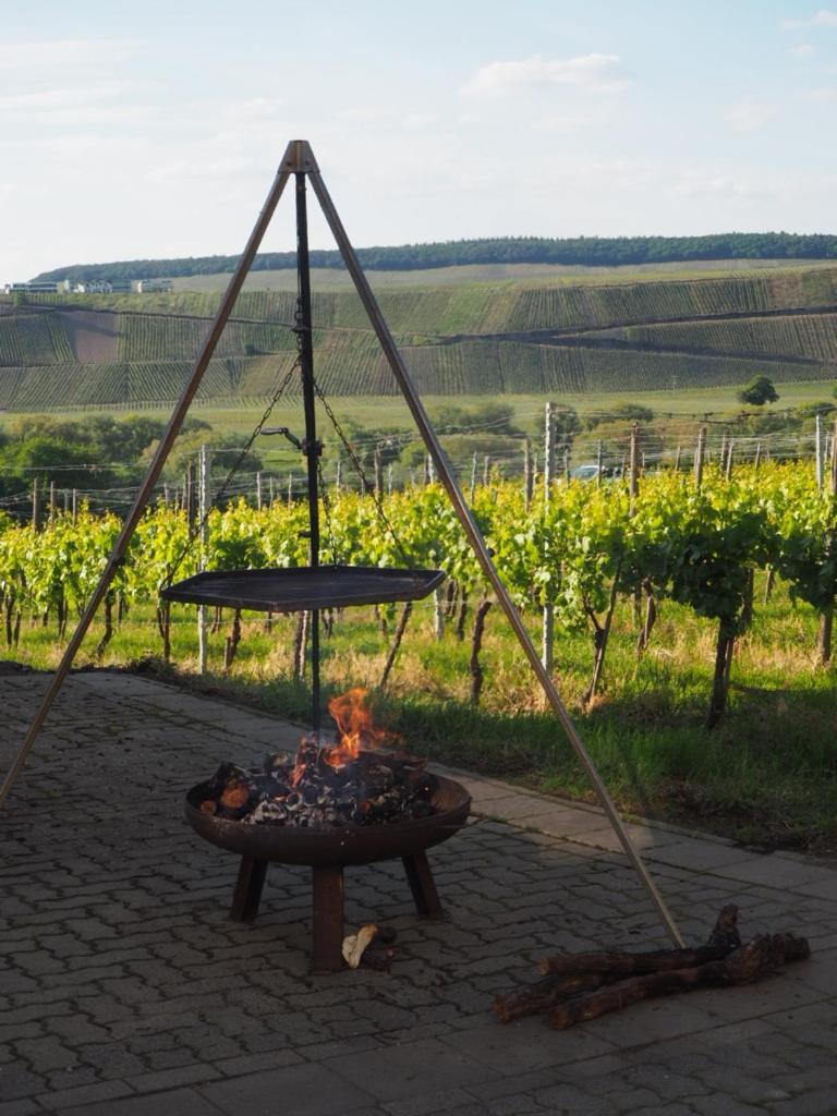 Ferienwohnung Weingut&Gastehaus Andreas Erz Brauneberg Exterior foto