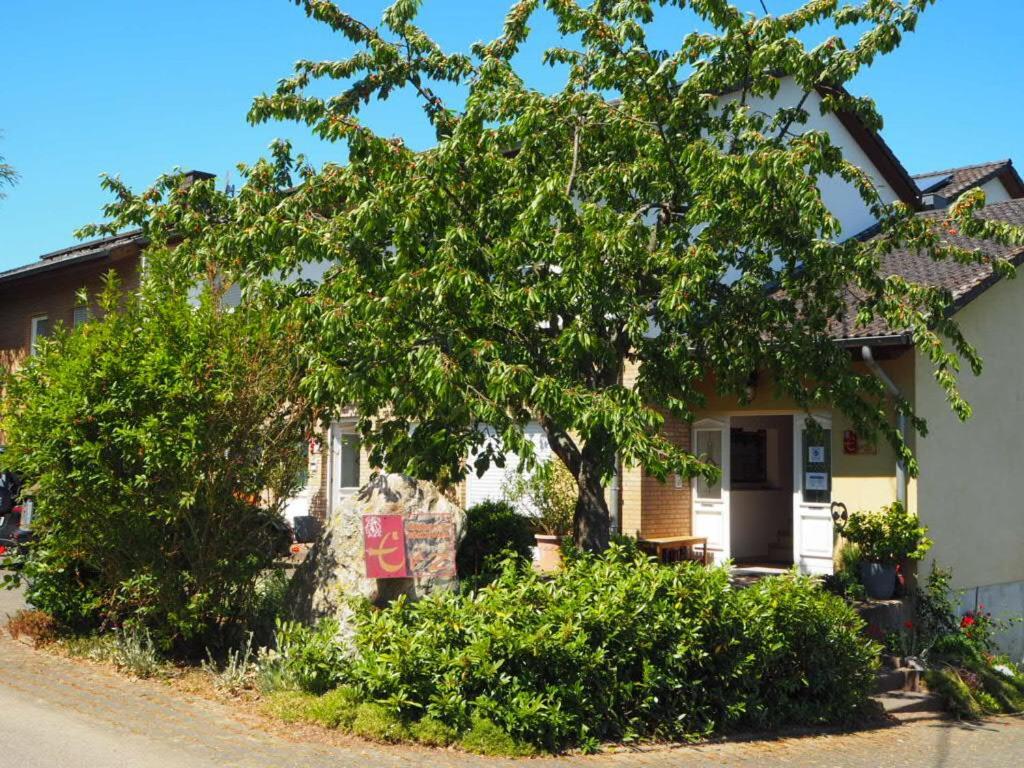 Ferienwohnung Weingut&Gastehaus Andreas Erz Brauneberg Exterior foto