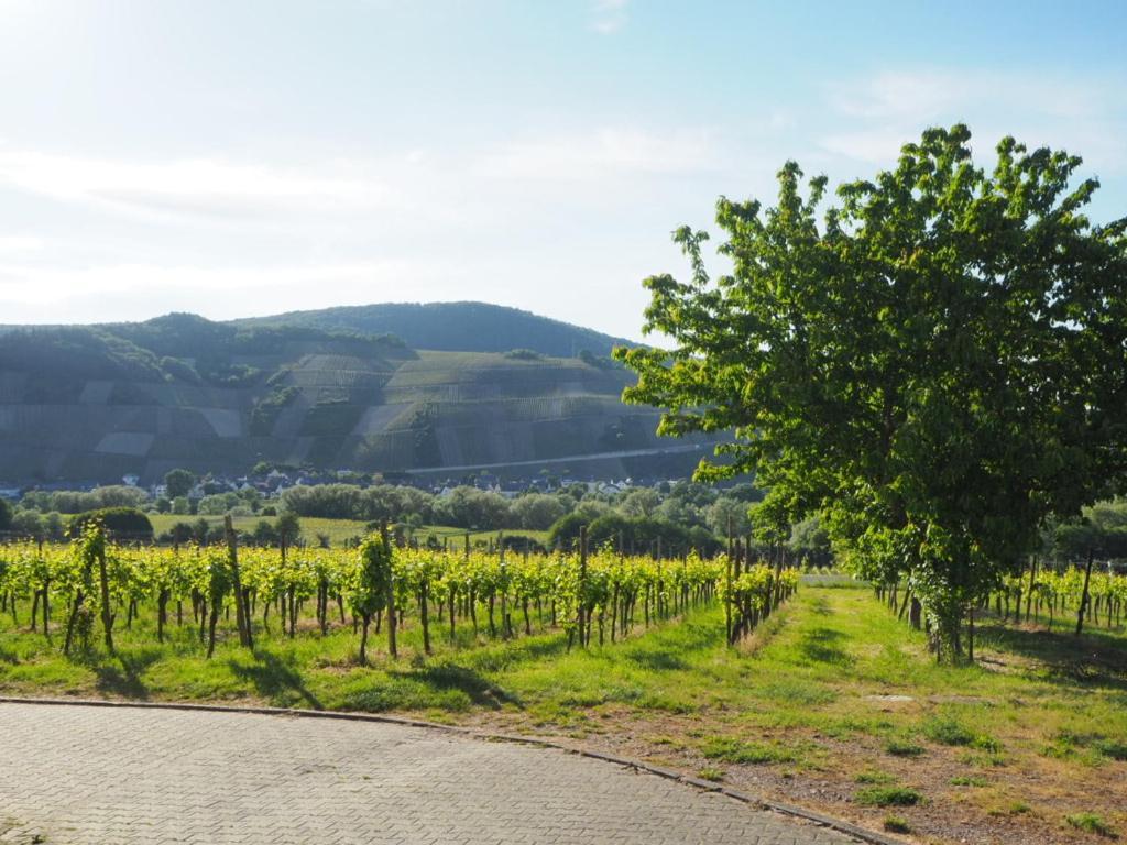 Ferienwohnung Weingut&Gastehaus Andreas Erz Brauneberg Exterior foto