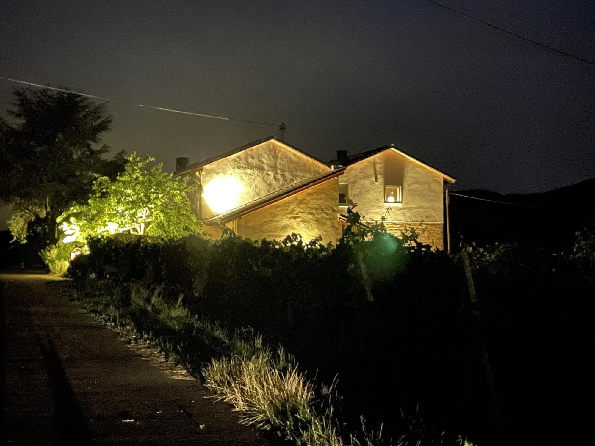 Ferienwohnung Weingut&Gastehaus Andreas Erz Brauneberg Exterior foto